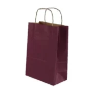 Burgu Saplı Mor Kağıt Çanta 18x24x9 cm
