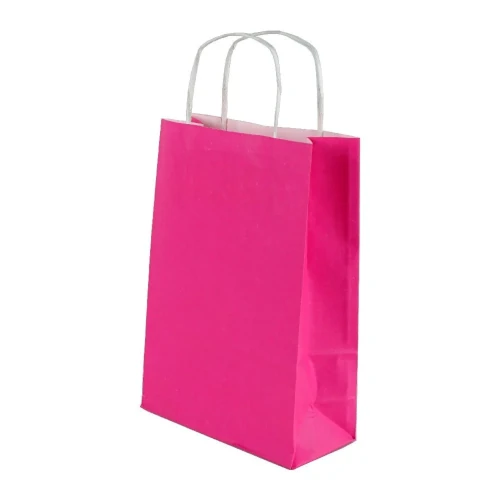 Burgu Saplı Pembe Kağıt Çanta 18x24x9 cm