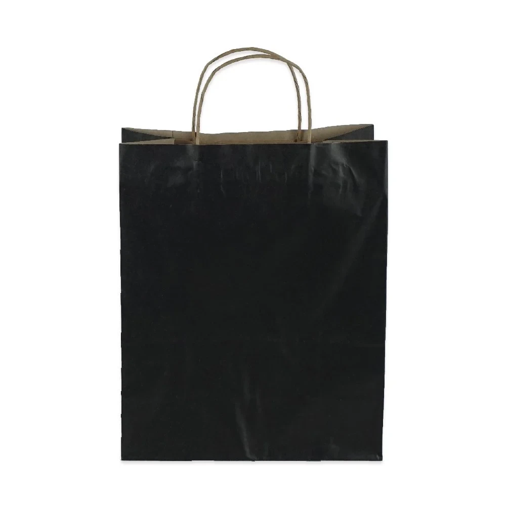 Burgu Saplı Siyah Kağıt Çanta 18x24x9 cm - Görsel 2