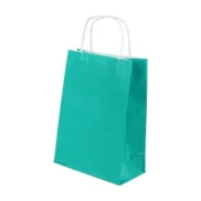 Burgu Saplı Yeşil Kağıt Çanta 18x24x9 cm