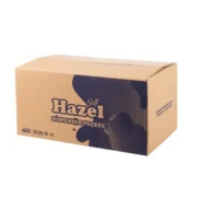 Hazel Di̇spenser Peçete